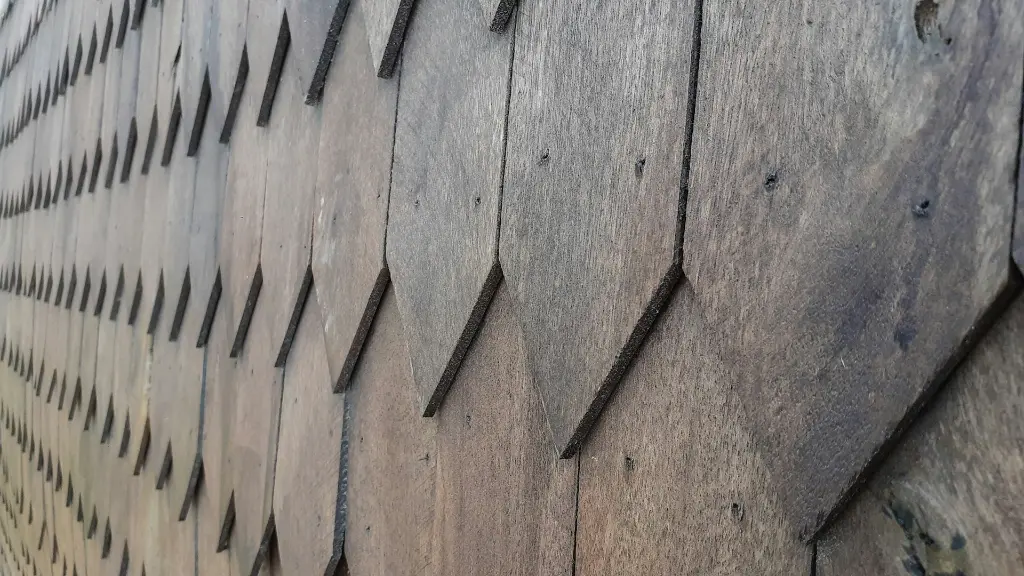 unsplash_f1bJ6ALhWZA_woodboard.jpg.jpg.jpg.jpg.webp